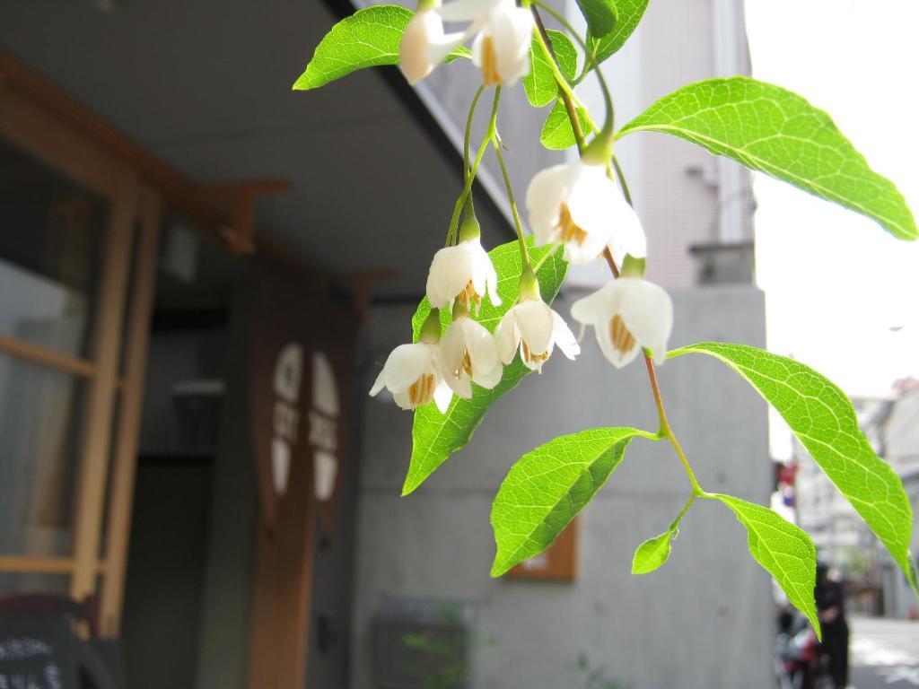 Guesthouse Hyakumanben Cross Kyoto Extérieur photo